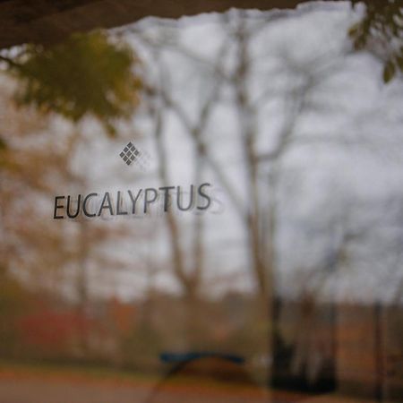 Chambres D'Hotes Eucalyptus Et Glycine Genval Exterior foto